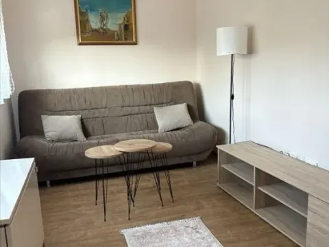 Rent, one bedroom apartment, 41m², Zemun Kalvarija, Zemun Sve Podlokacije - image 10