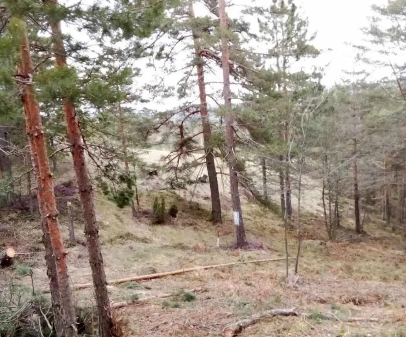 Prodaja, plac, 850m², Divčibare, Valjevo