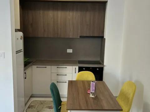 Izdavanje, jednosoban stan, 42m², Zabjelo, Podgorica - image 6