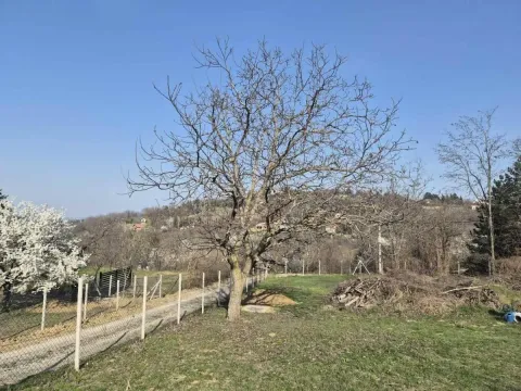 Prodaja, plac, 5000m², Sremska Kamenica, Petrovaradin - image 14