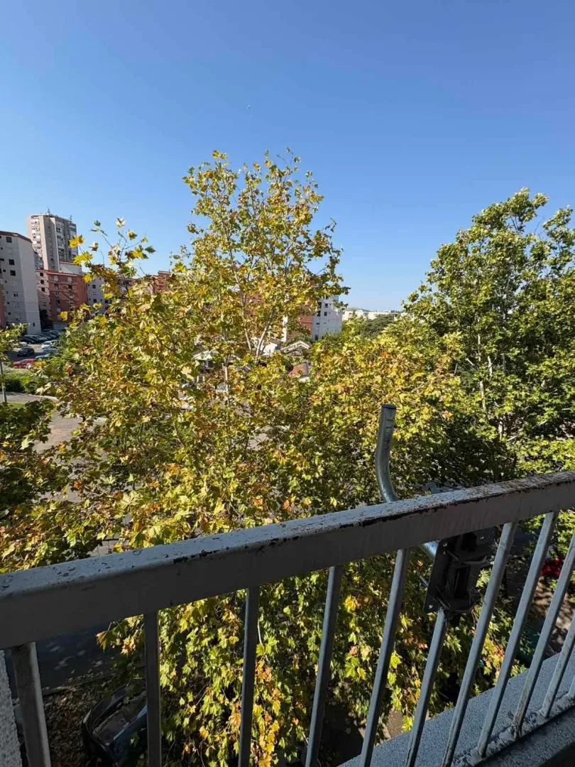 Izdavanje, jednosoban stan, 38m², Centar, Podgorica