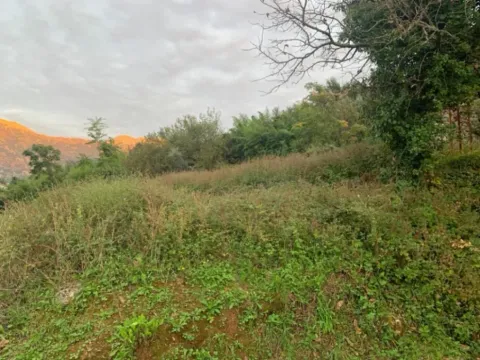 Sale, land lot, 2313m², Donji Stoliv, Kotor - image 4