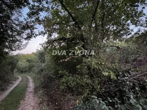 Sale, land lot, 600m², Čortanovci, Inđija - image 4