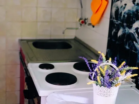 Rent, one bedroom apartment, 28m², Centar, Ulcinj - image 8