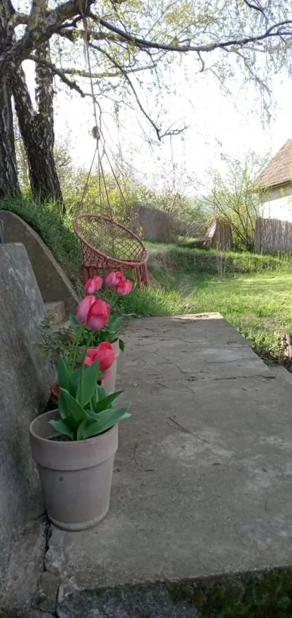 Sale, house, 33m², Beočin, Srbija
