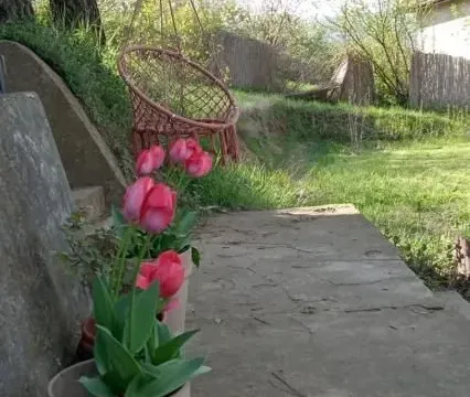 Prodaja, kuća, 33m², Beočin, Srbija - image 11