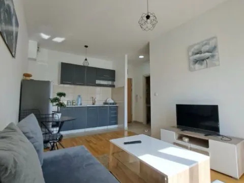 Izdavanje, jednosoban stan, 33m², Zabjelo, Podgorica - image 10