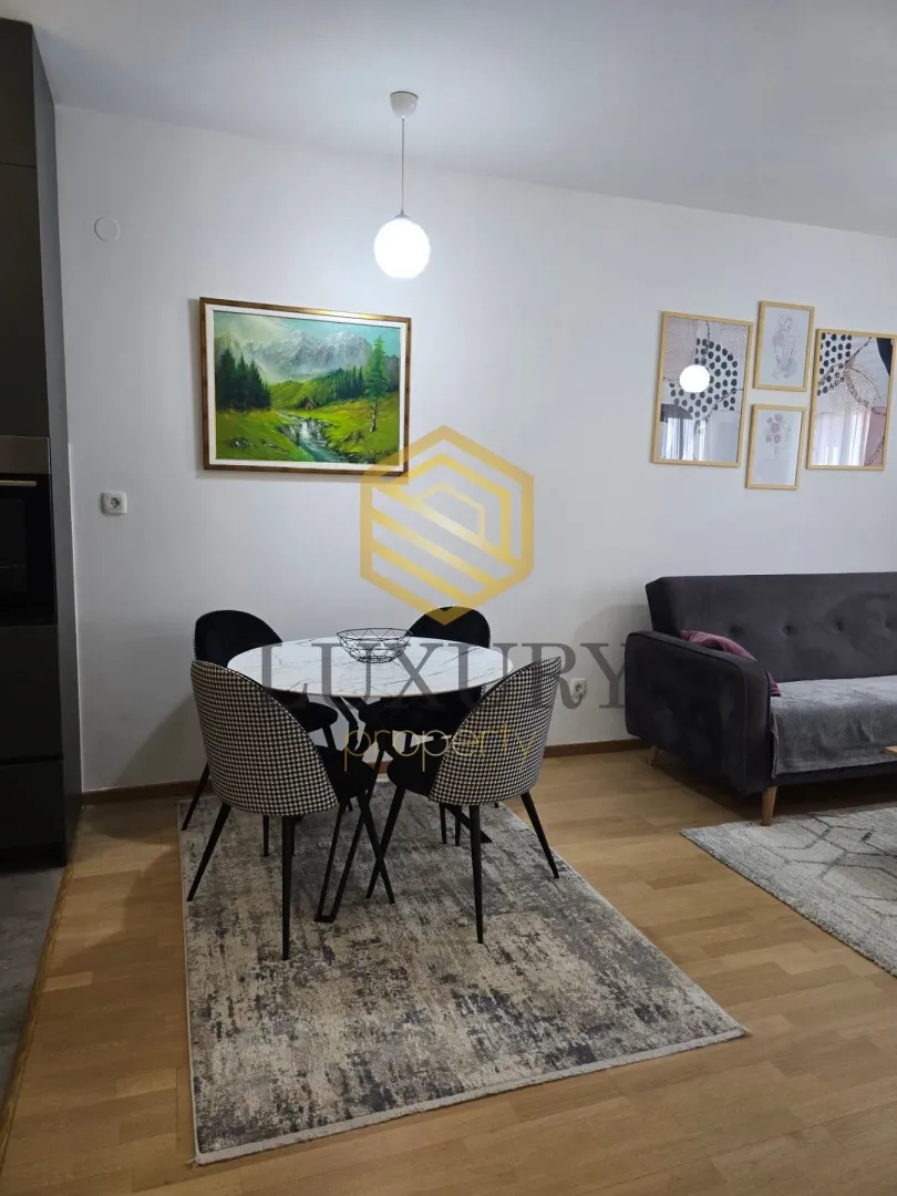 Rent, one bedroom apartment, 42m², Pobrežje, Podgorica