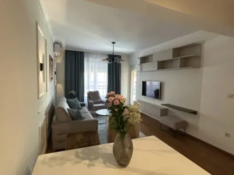 Izdavanje, jednosoban stan, 45m², Podgorica, Crna Gora - image 3