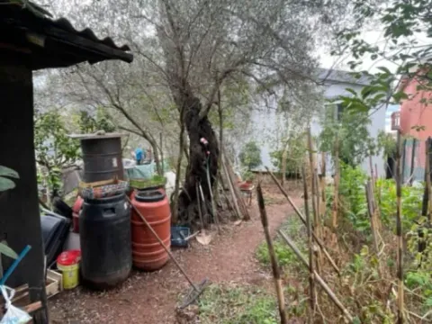 Prodaja, kuća, 220m², Bar, Crna Gora - image 12