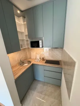 Small kitchen with light blue cabinets and a built-in sink and hob. - image 13