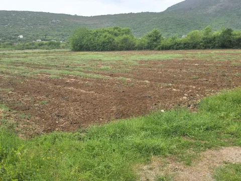 Sale, land lot, 7410m², Beri, Podgorica - image 3