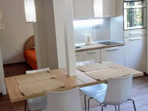 Izdavanje, dvosoban stan, 48m², Banatić, Novi Sad Sve Podlokacije - image 2