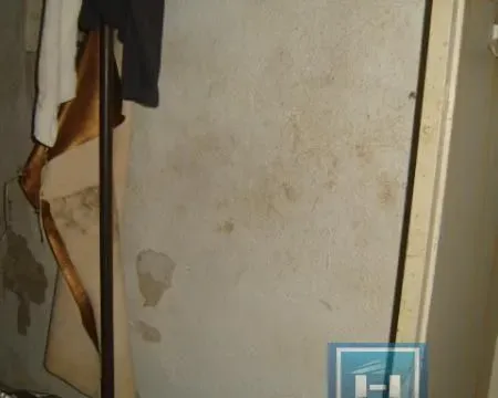 Prodaja, kuća, 60m², Majur, Jagodina - image 17