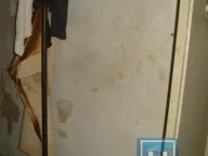 Prodaja, kuća, 60m², Majur, Jagodina - image 17