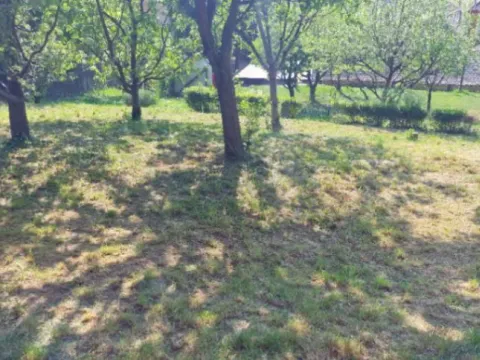 Prodaja, kuća, 376m², Petrovaradin, Novi Sad - image 4