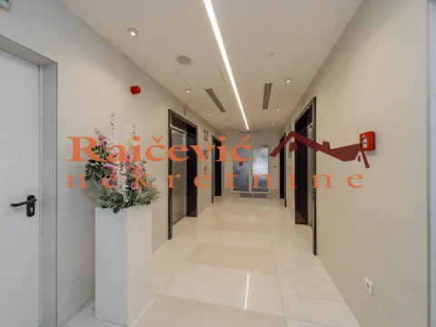 Izdavanje, poslovni prostor, 289m², Tašmajdan, Palilula Sve Podlokacije - image 20