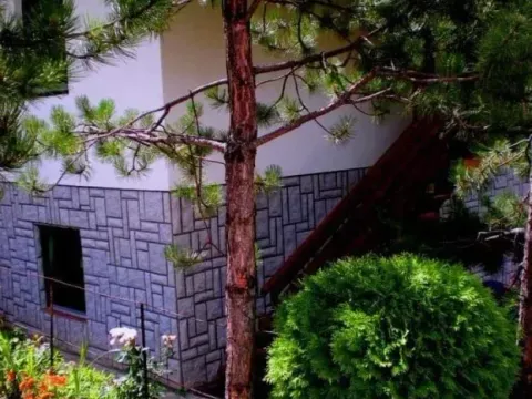 Sale, house, 213m², Karaula, Zlatibor - image 9