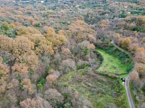 Prodaja, plac, 2422m², Radanovići, Kotor - image 12