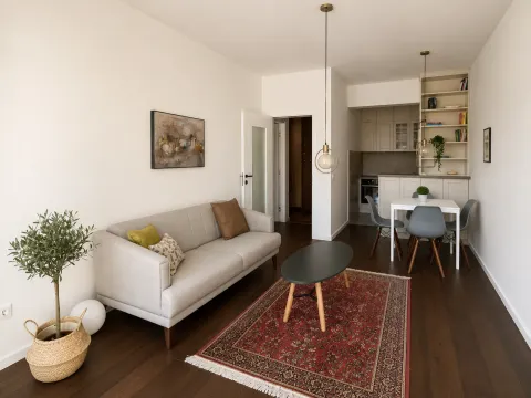 Rent, one bedroom apartment, 48m², Vezirov Most, Podgorica - image 2