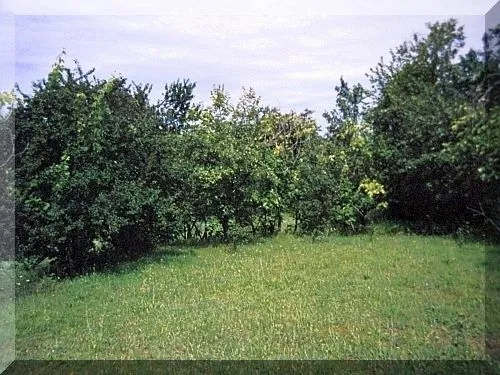 Prodaja, stan, 52m², Danilovgrad, Crna Gora