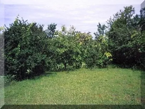 Prodaja, stan, 52m², Danilovgrad, Crna Gora - image 3