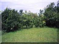 Sale, apartment, 52m², Danilovgrad, Crna Gora - image 3