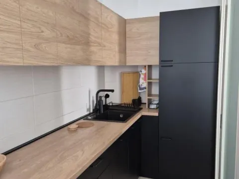 Rent, two bedroom apartment, 42m², Novi Beograd Blok 67, Novi Beograd Sve Podlokacije - image 4