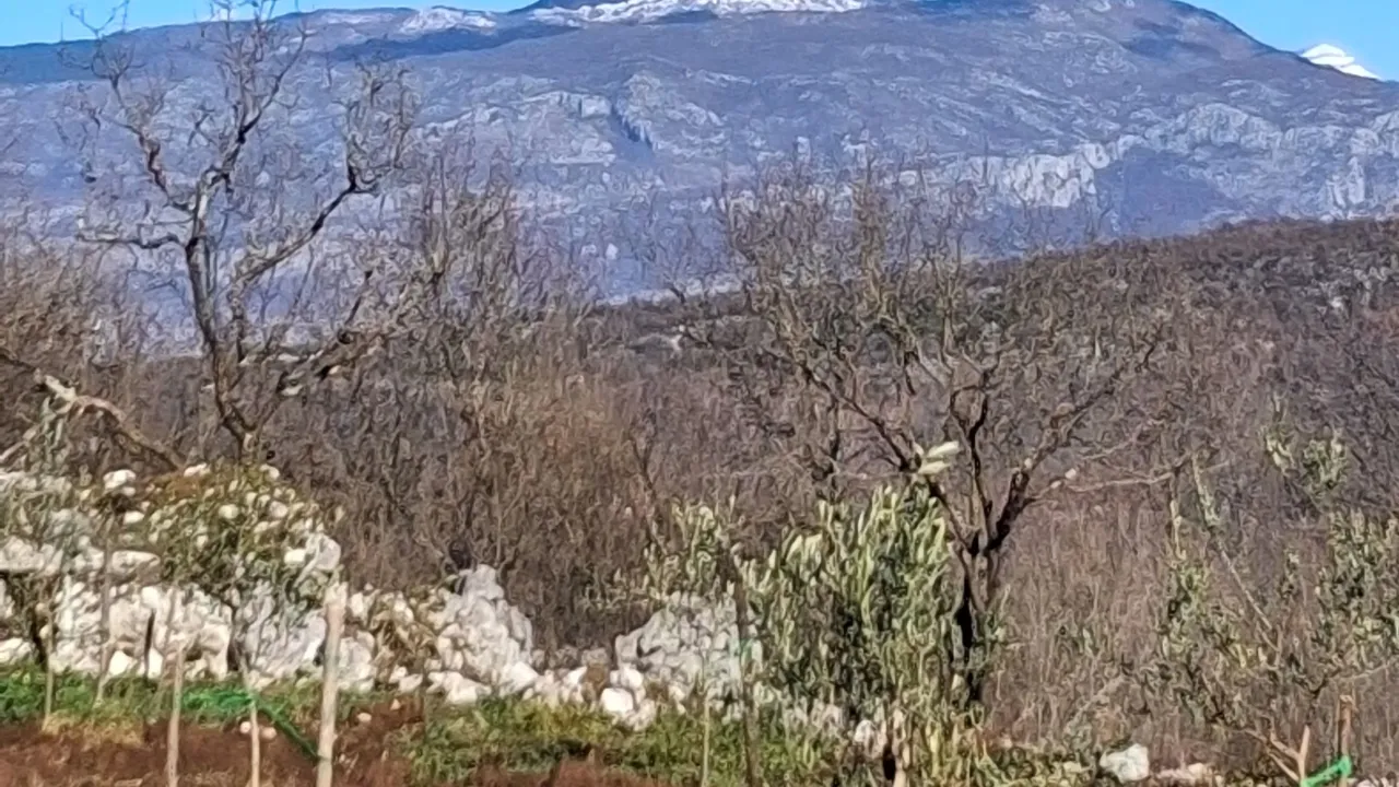 Sale, land lot, 8930m², Bandići, Danilovgrad