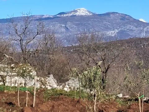Zemljište in Bandići
