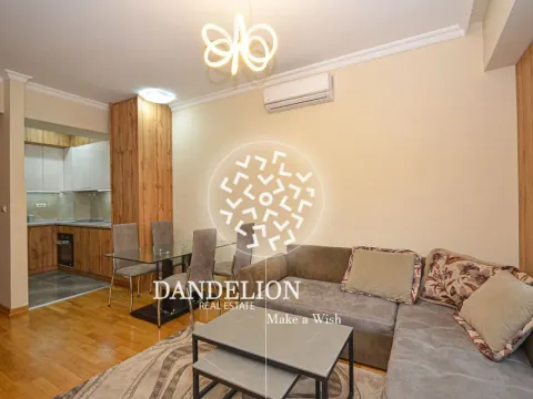 Izdavanje, jednosoban stan, 41m², Centar, Podgorica - image 9