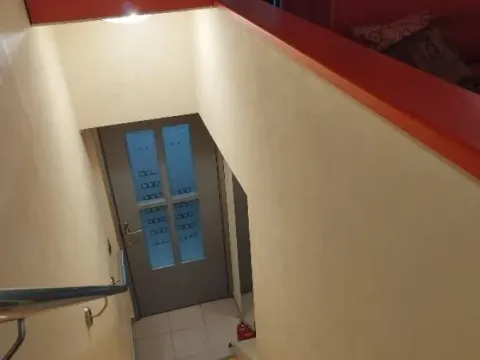 Izdavanje, poslovni prostor, 170m², Botanička Bašta, Palilula Sve Podlokacije - image 13