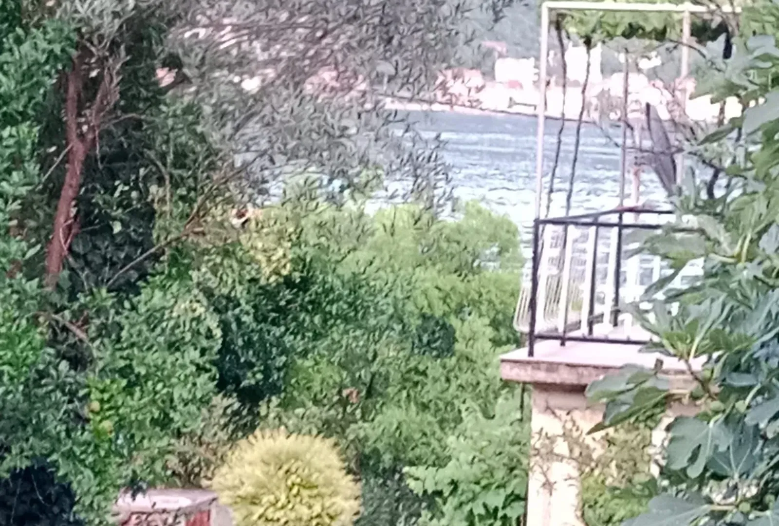 Prodaja, plac, 900m², Kamenari, Herceg Novi