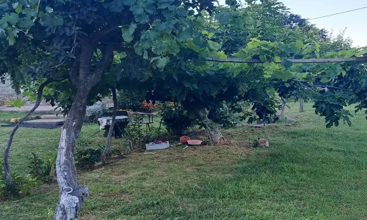 Prodaja, plac, 1600m², Podgorica, Crna Gora