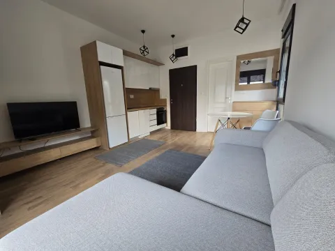 Prodaja, garsonjera, 24m², Zagorič, Podgorica - image 5