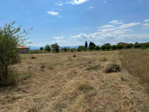 Prodaja, plac, 6000m², Golubovci, Podgorica - image 5