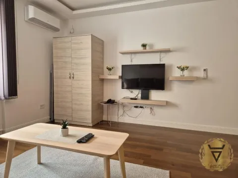Izdavanje, dvosoban stan, 45m², Vračar Hram, Vračar Sve Podlokacije - image 3