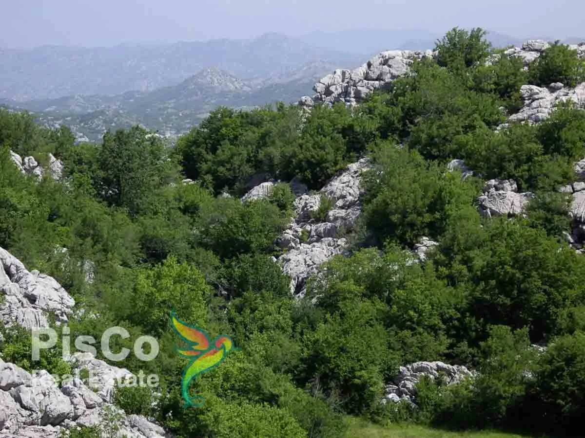 Prodaja, plac, 37m², Cetinje, Crna Gora