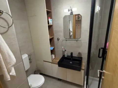 Rent, one bedroom apartment, 48m², Stari Aerodrom, Podgorica - image 4