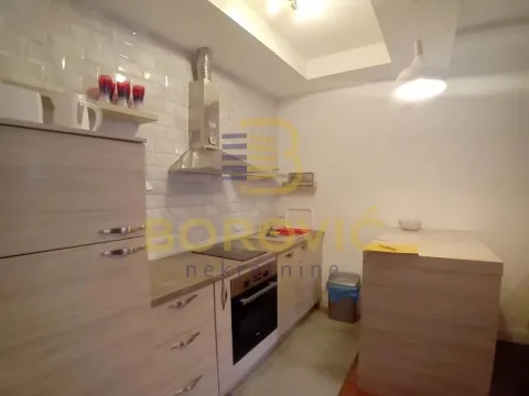 Izdavanje, dvosoban stan, 44m², Vračar Hram, Vračar Sve Podlokacije - image 3