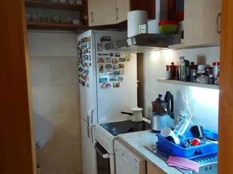 Rent, two bedroom apartment, 41m², Kalenić Pijaca, Vračar Sve Podlokacije - image 6