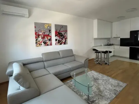 Izdavanje, jednosoban stan, 47m², Stari Aerodrom, Podgorica - image 4