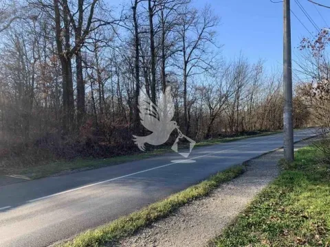 Prodaja, plac, 4000m², Koraćica, Mladenovac - image 7