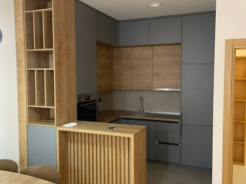 Izdavanje, jednosoban stan, 52m², Podgorica, Crna Gora - image 5