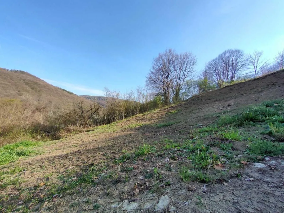 Prodaja, plac, 1300m², Beočin, Srbija