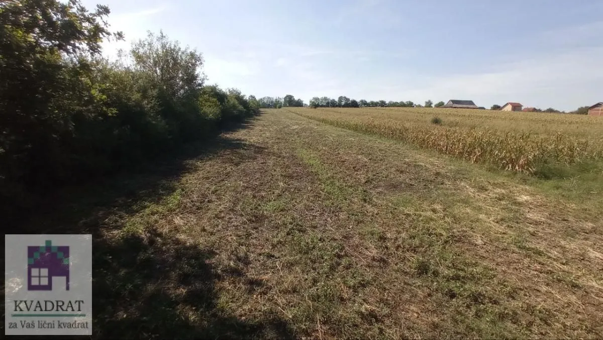 Prodaja, plac, 5400m², Stubline, Obrenovac