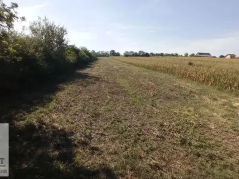 Sale, land lot, 5400m², Stubline, Obrenovac - image 2