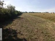 Prodaja, plac, 54m², Stubline, Obrenovac - image 2