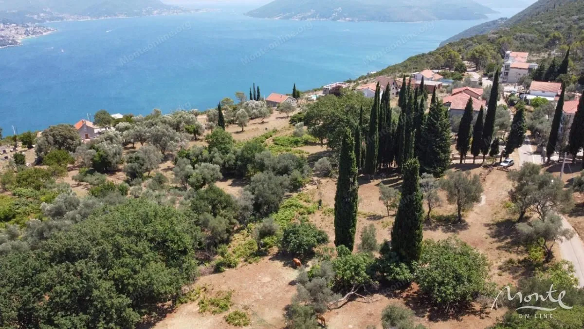 Prodaja, plac, 2390m², Sutorina, Herceg Novi