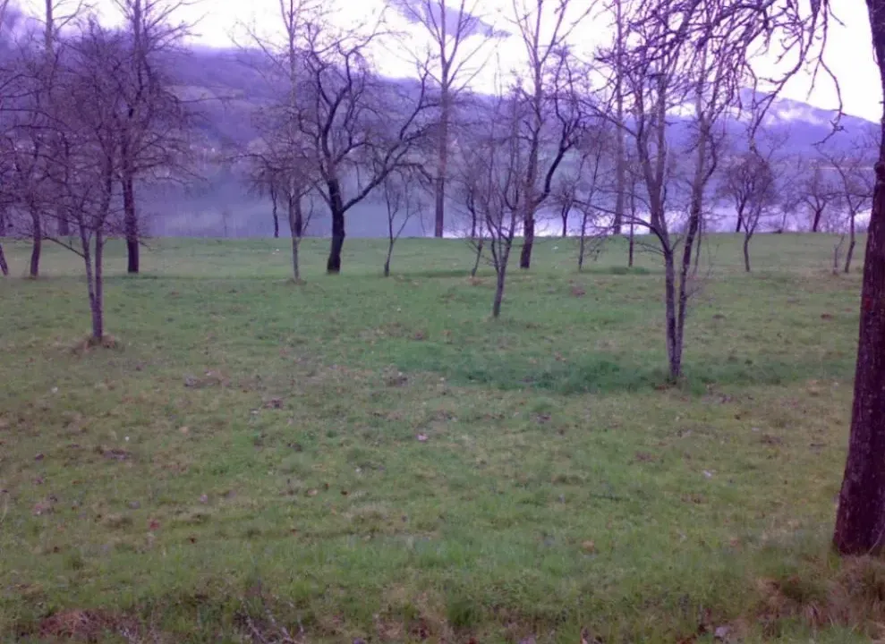 Prodaja, plac, 1750m², Vojno Selo, Plav